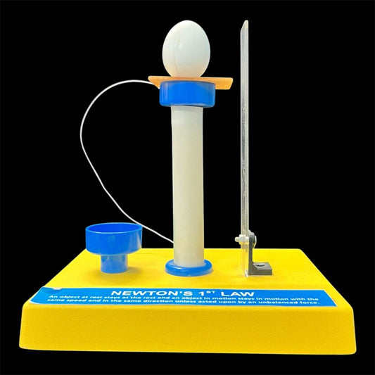 Model Newton's Law 1